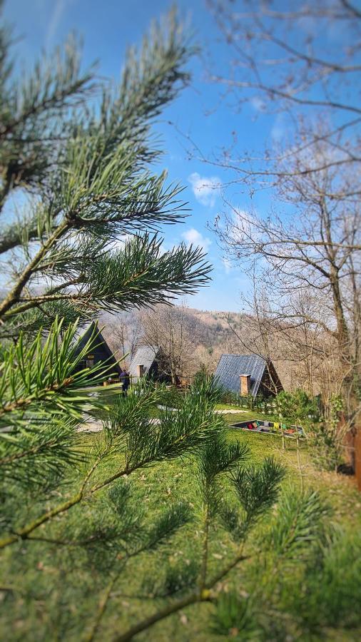 Loca Sapanca Bungalov Zewnętrze zdjęcie